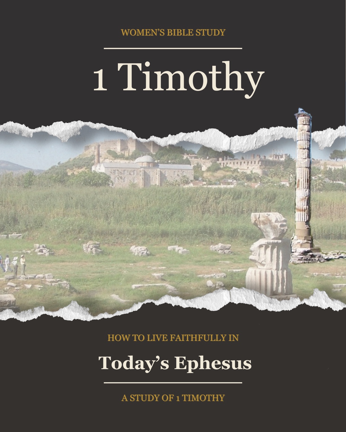 1 Timothy Bible study cover